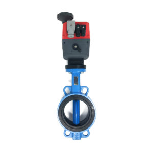 Ductile Iron - Actuated Valve